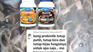 Fungsi Probiomax, Maxoil, Dan Aquacure Untuk budidaya ikan lele