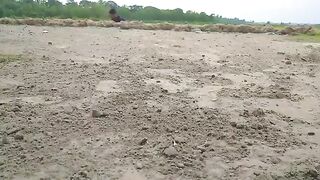 Amazing Funny Fishing