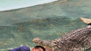 crocodile eats human head