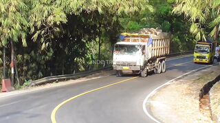 the struggle of a truck driver