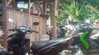 daily life in the motorbike parking lot part 3