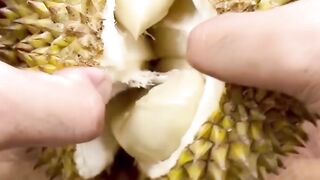 dream of split durian