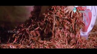 Ram Ongole Githa video song