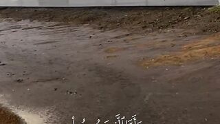 الشيخ ماهر المعيقلي