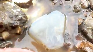 Trash Treasures