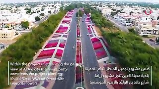 العين البلدية سوي ديزائن الشارع العين الورد AlAin Beauty