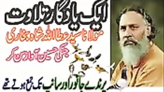 سید عطاء اللہ شاہ بچاری رحمتہ اللہ تعالیٰ