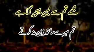 Amjad video shero shayari???????? status video