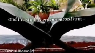 Quran pak urdu translation zafar551