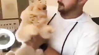 Trrnding Cute Cats????Funny Fail ops Moments Clips #shorts Video????|| #trending #animals #funny #reels
