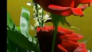 Beauty if heart