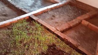 Indoor farming for Ac