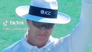 Cricket