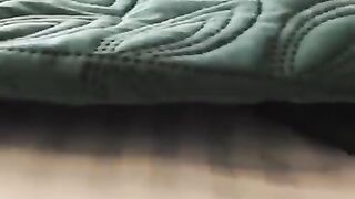 Funny & Cute Cats Compilation (TikTok) #shorts ????