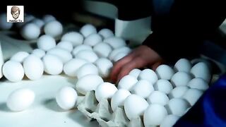 Common things you don't know the purpose of egg desi vs farmi