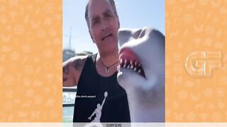 Funny Shark Puppet Compilation 2023