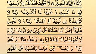 Beautiful Quran Recitation ????