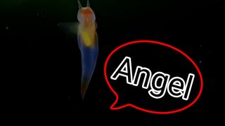 ANGEL OF RIVERS Respect & Education