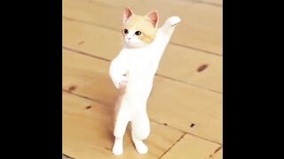 Little cute cat dance