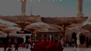 Best video