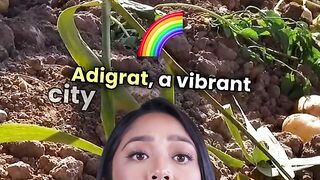 ከተማ ዓዲግራት ብሕርሻ ትሰስን።