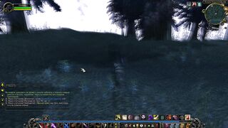 WOW Саблезубая пантера скачет на коне хахаа-хаа. World of Warcraft