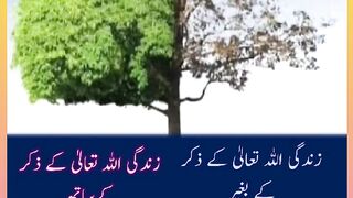 Shariat Ke Masail Seekhain