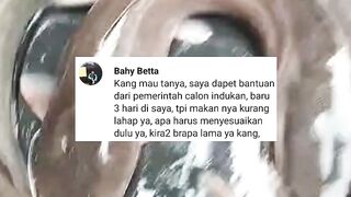 Alhamdulillah, dapat bantuan calon induk lele (Calin) dari pemerintah