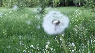Living in the moment
