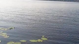 Fishing on Lake Selyava. Fishing from a boat to a float rod