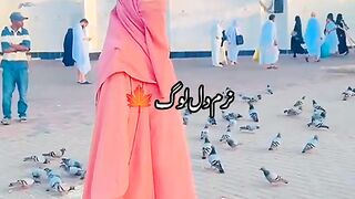 Original sound alizanoor officel famas tiktokar follow me My channal ♥️❣️???????? support me ????????????????????