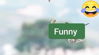 Viral Animal funny Moments