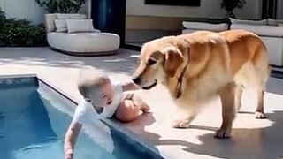 Funnest Animal moment catch on the Camera