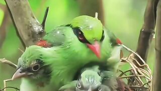 Mother love truly great