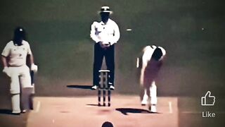 Cricket black day