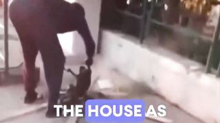 A viral video in Italy