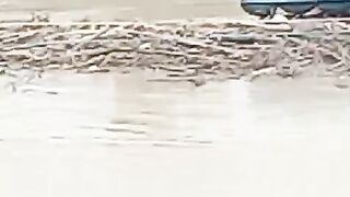 Banjur