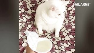 Instant Regret Compilation (Big Mistake)