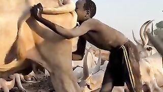مستحيل تعملها؟