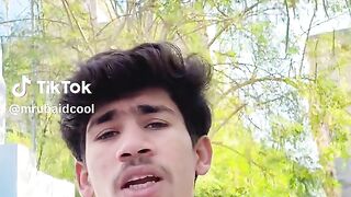 Insan