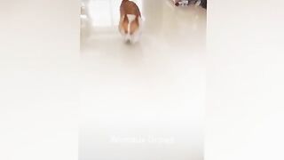 Laugh until you cry with these hilarious animals ????