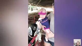 Funny Baby Meet Animals For The First Time || Cool Peachy