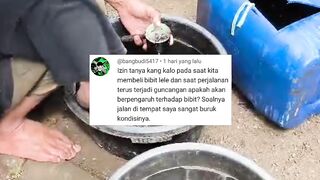 Lebih baik jalan jelek dan berlubang dari pada terjebak macet saat Delivery bibit lele