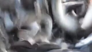 Alhamdulillah ???? harga ikan lele konsumsi naik menjelang lebaran
