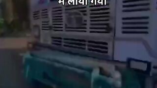 गौ रक्षा दल