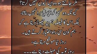 Wo chahta to