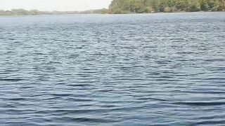 Butterfly swimming technique