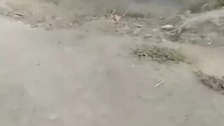 The overloaded lawn with hay stood up on its hind legs
