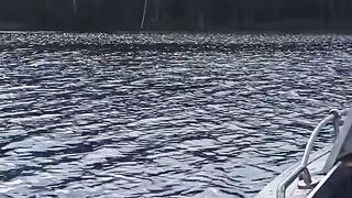 Boat trips