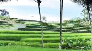 Legenda puncak